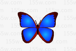 bkViewer 数码照片浏览器 v8.3.0.0 小巧精悍-155笔记