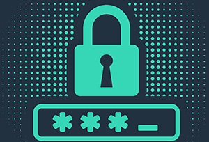 155笔记分享资源网盘文件解压密码说明-155笔记