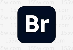 Adobe Bridge 2026 v16.0.1.18 数字资产管理软件-155笔记